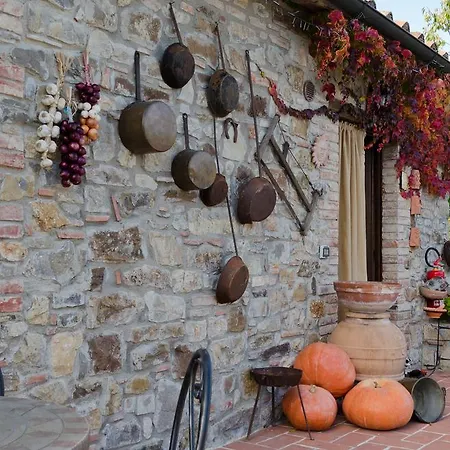 Locazione Turistica Ex Le Casette Di Cedromonte Сasa de vacaciones